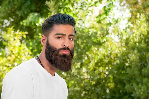 ali gillani