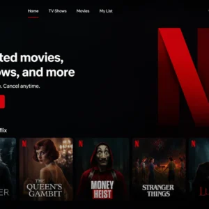 Netflix Premium Subscription